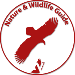 Nature Wildlife Guide (rood met schaduw) (3)